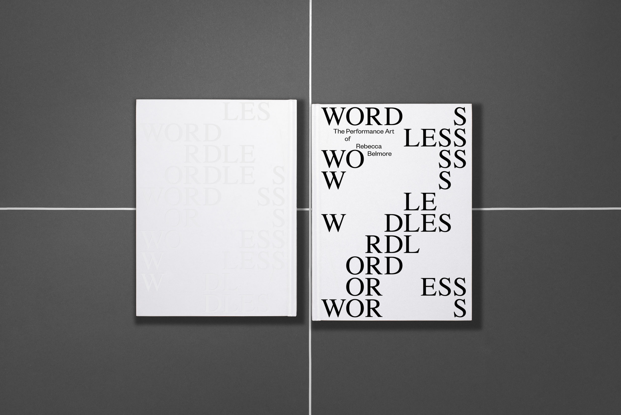 INFO Wordless Feature1